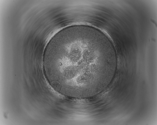 X0000100390895200806130949