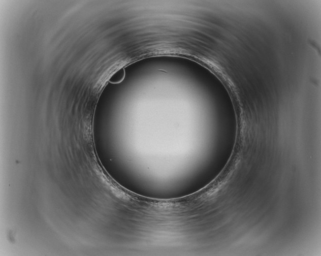 X0000100390897200806130949