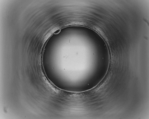 X0000100390898200806130949