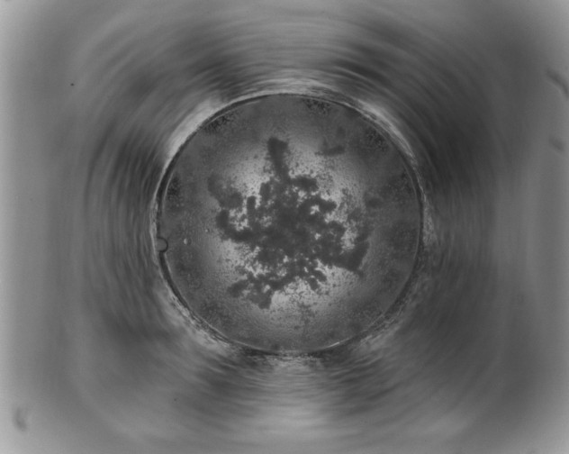 X0000100390899200806130949