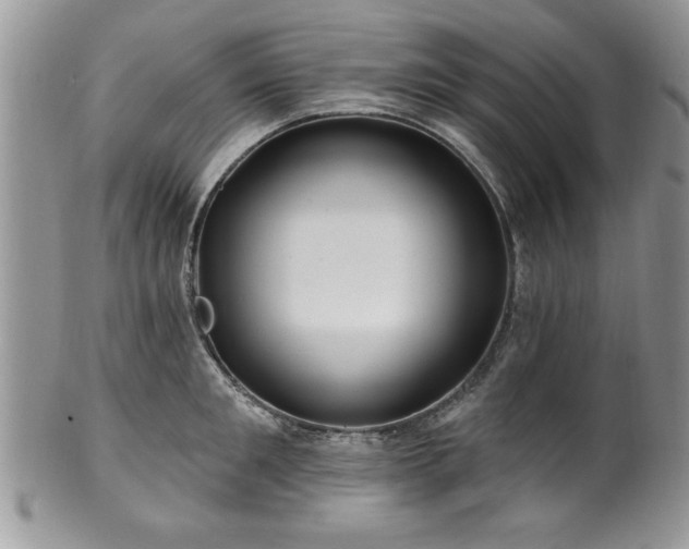 X0000100390901200806130949