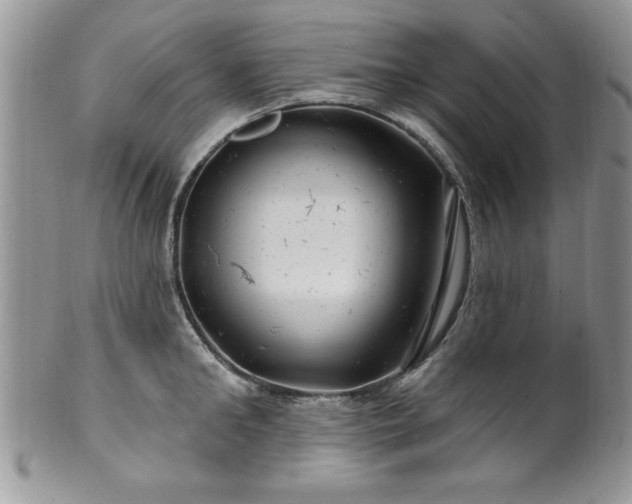 X0000100390902200806130949