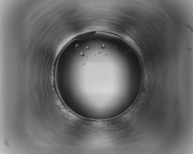 X0000100390904200806130949