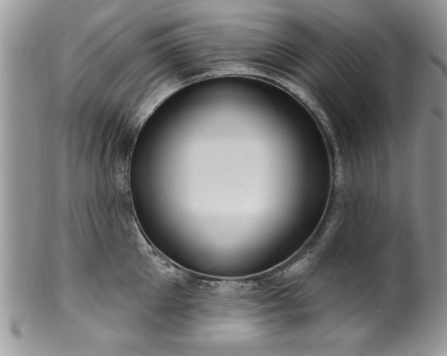 X0000100390905200806130949