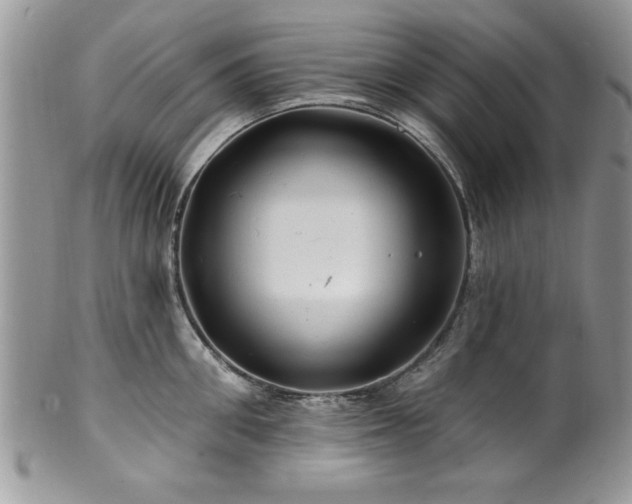 X0000100390906200806130949