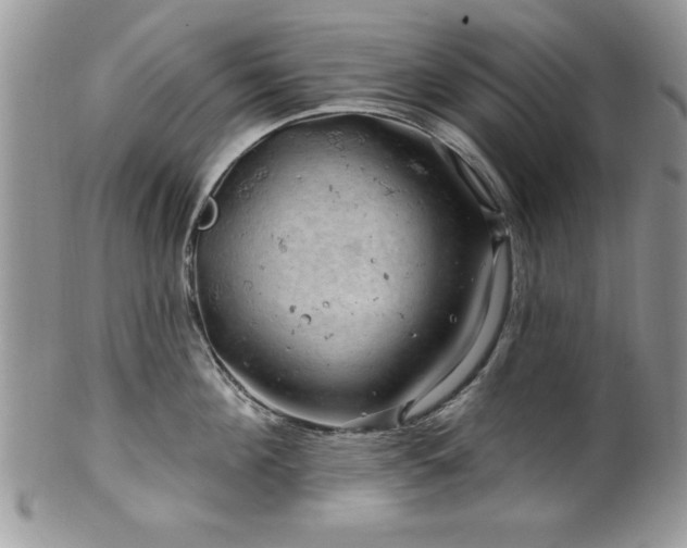 X0000100390908200806130949