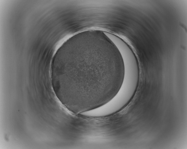 X0000100390910200806130949