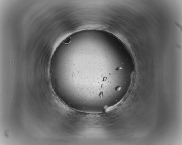 X0000100390912200806130949