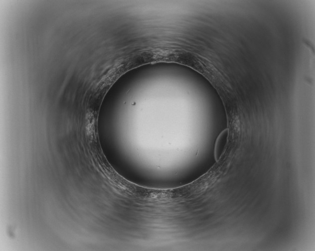 X0000100390914200806130948