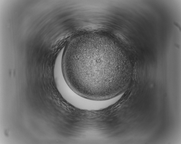 X0000100390917200806130948