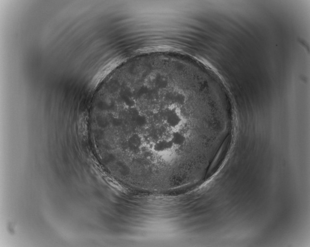 X0000100390921200806130948