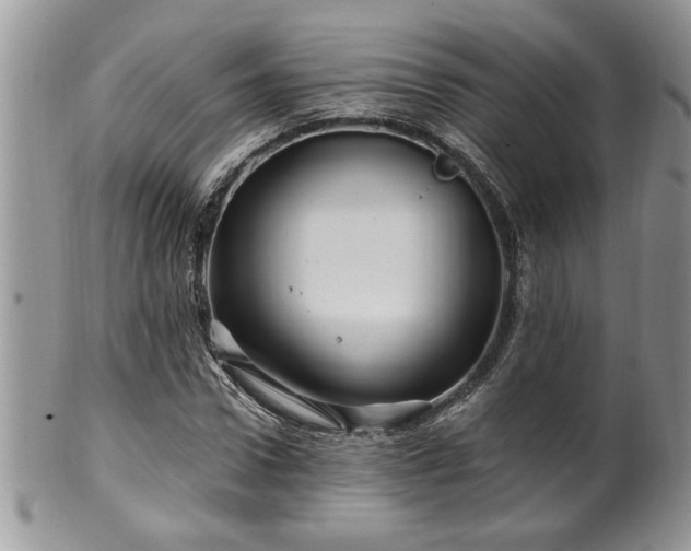 X0000100390922200806130948