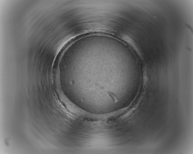 X0000100390924200806130948