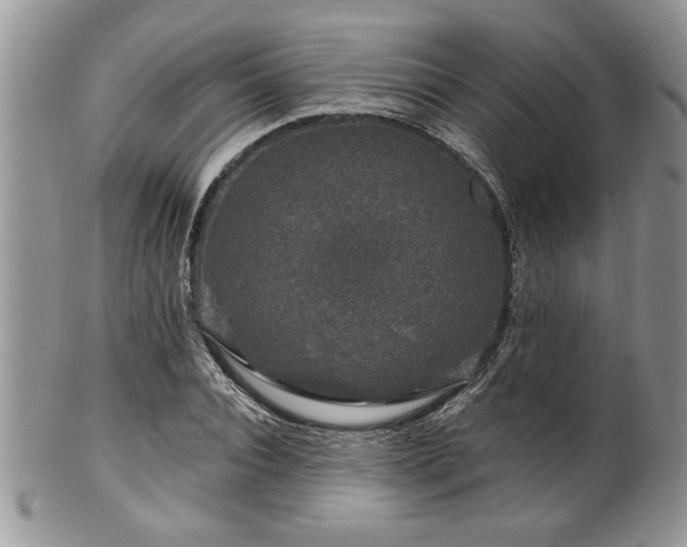 X0000100390928200806130948