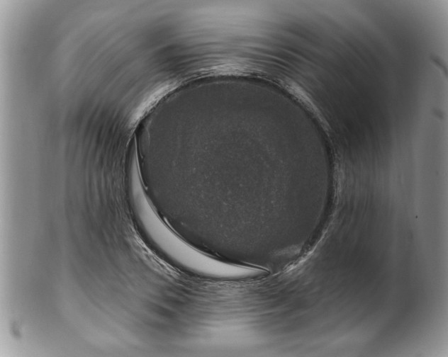 X0000100390930200806130948