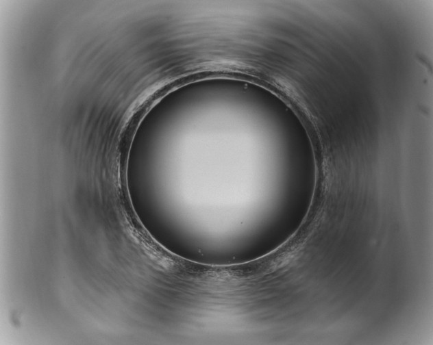 X0000100390931200806130948