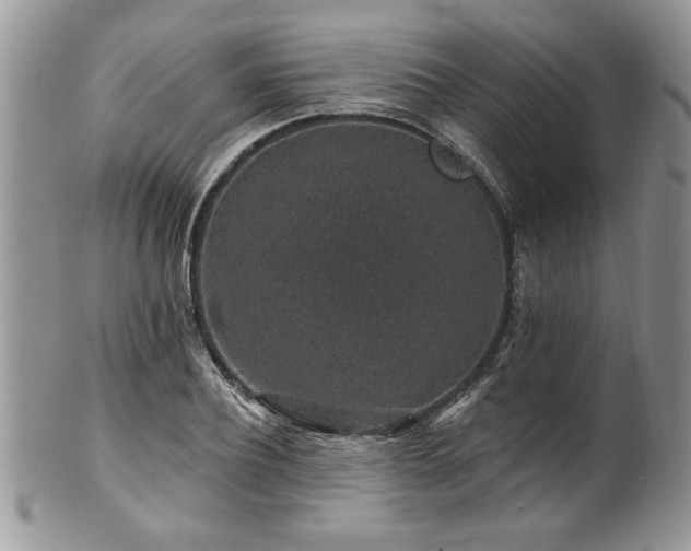 X0000100390932200806130948