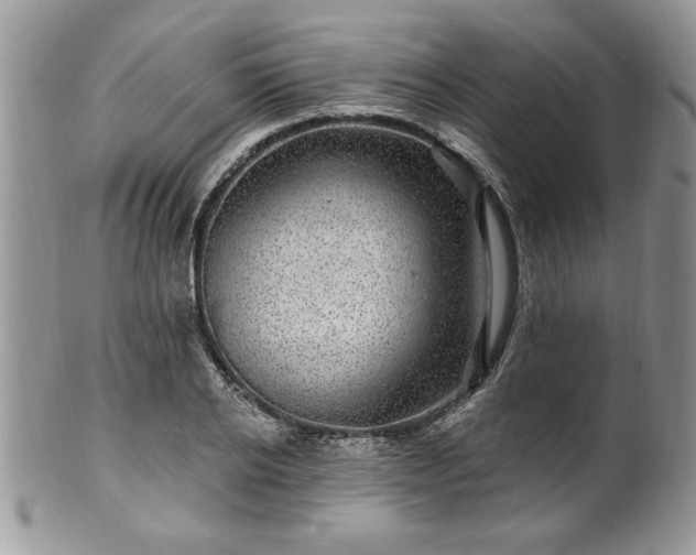 X0000100390934200806130948