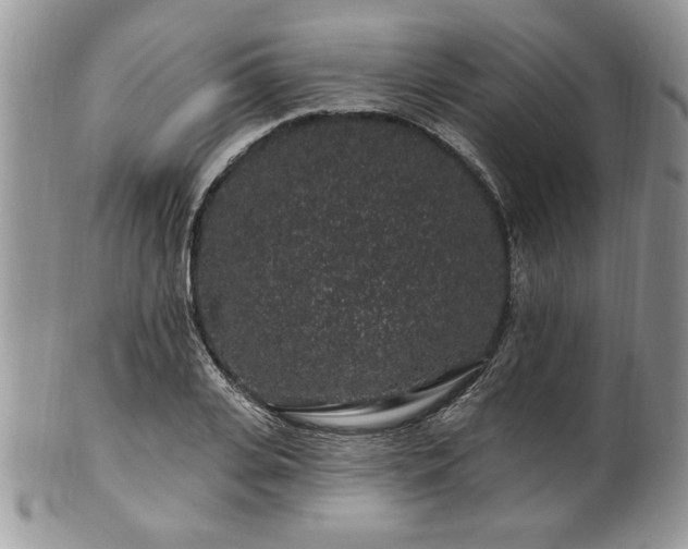 X0000100390935200806130948