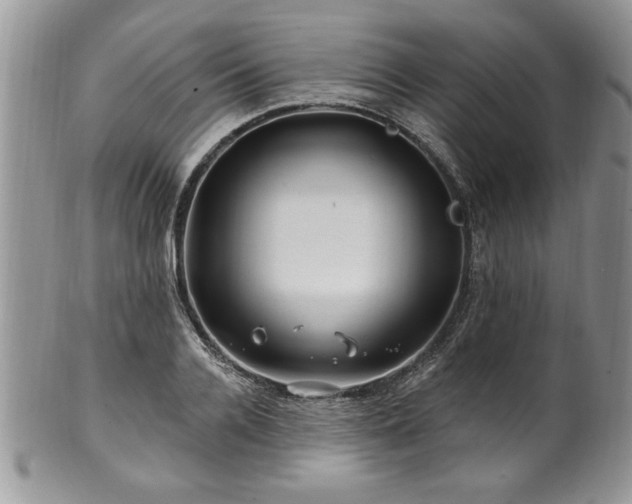 X0000100390936200806130949