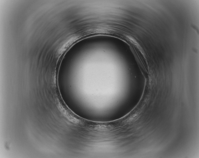 X0000100390938200806130949