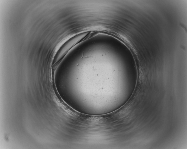 X0000100390939200806130949