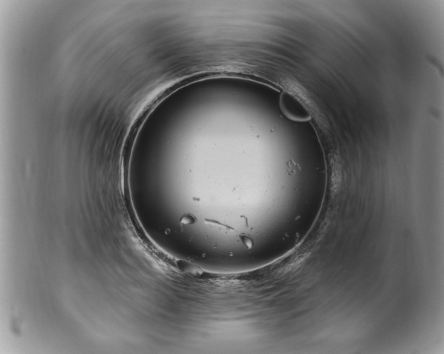 X0000100390940200806130949