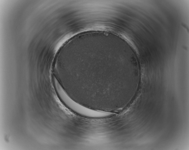 X0000100390944200806130949