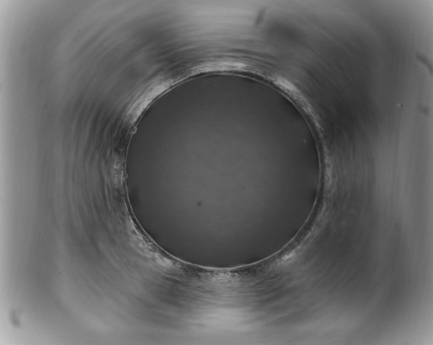 X0000100390945200806130949