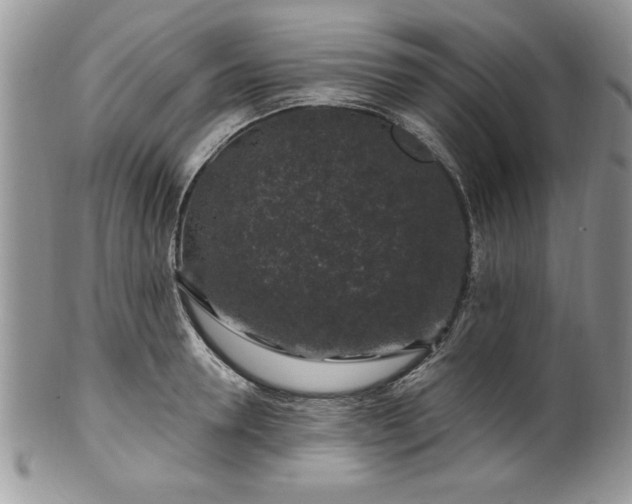 X0000100390946200806130949