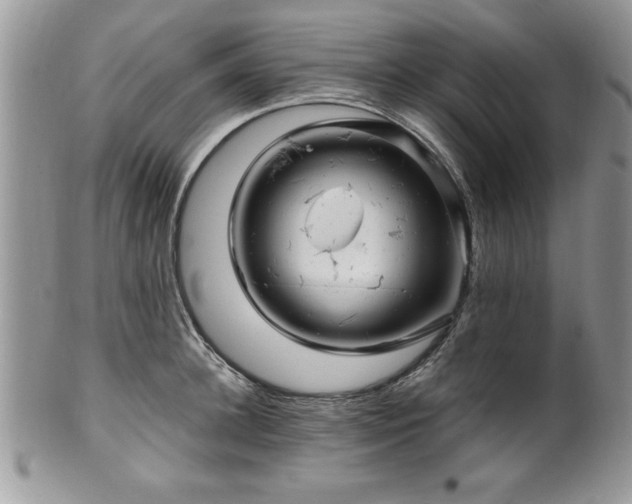 X0000100390948200806130949