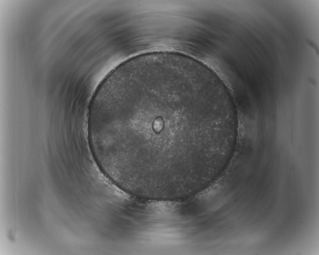 X0000100390950200806130949