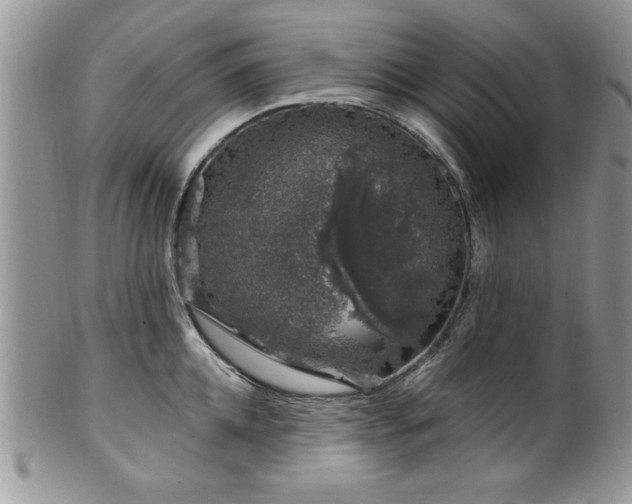 X0000100390952200806130949