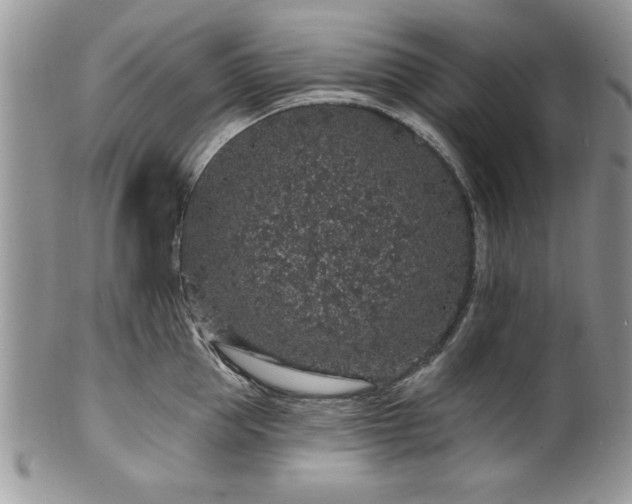 X0000100390953200806130949