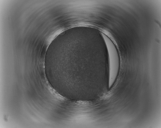 X0000100390954200806130949