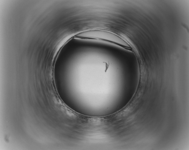 X0000100390956200806130949