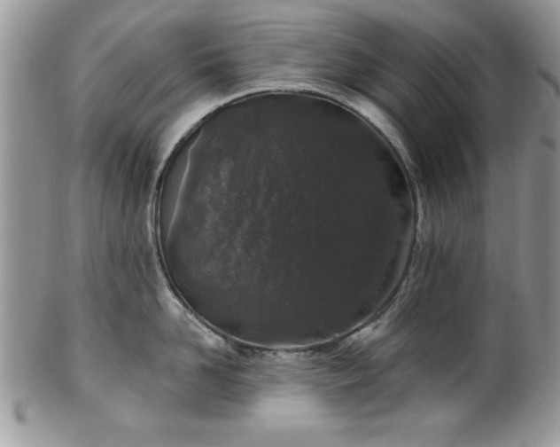 X0000100390958200806130949