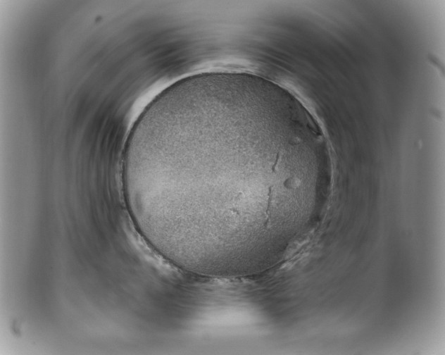 X0000100390960200806130949