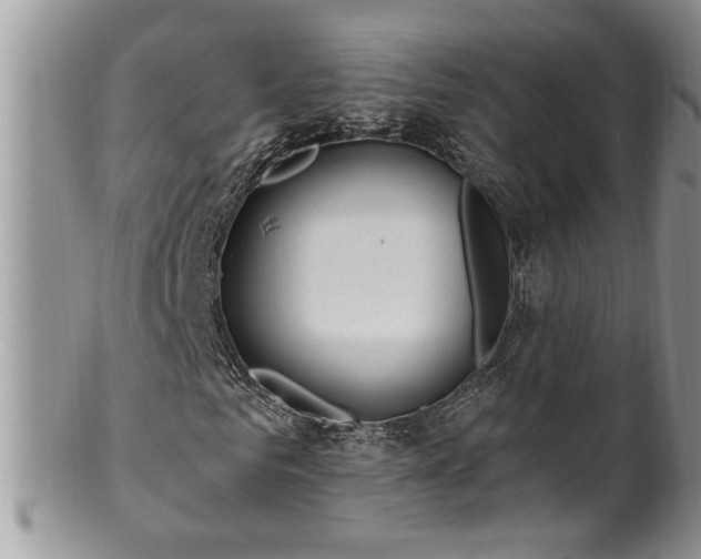 X0000100390961200806130948