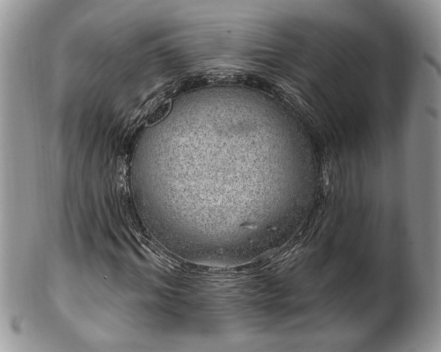 X0000100390964200806130948