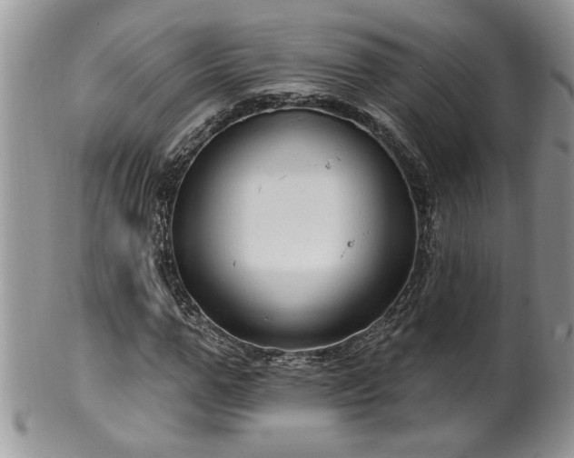 X0000100390967200806130948