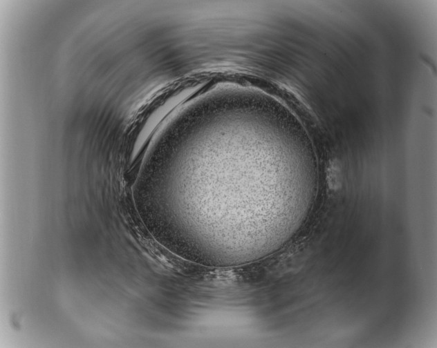 X0000100390968200806130948