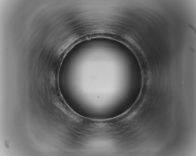 X0000100390969200806130948