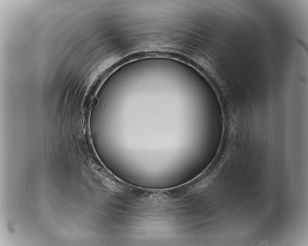 X0000100390974200806130948