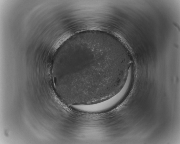 X0000100390977200806130948