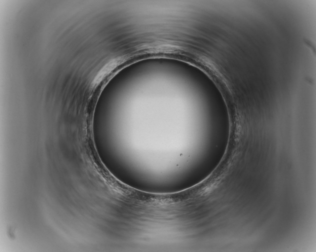 X0000100390978200806130948