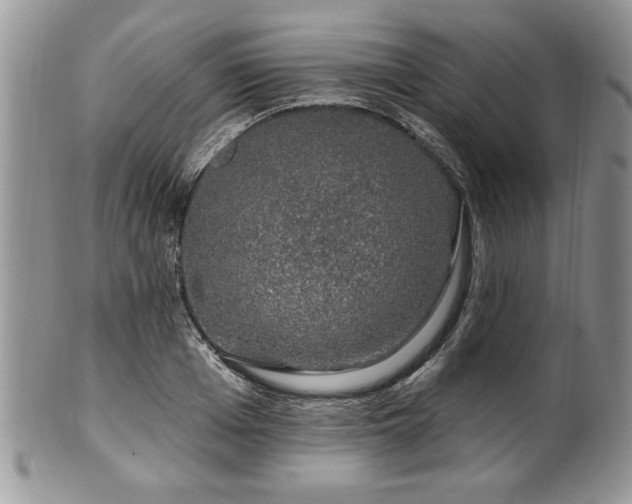 X0000100390985200806130948