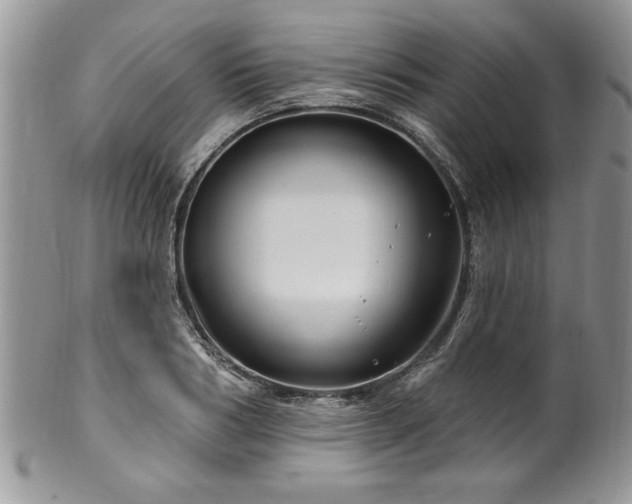 X0000100390986200806130948