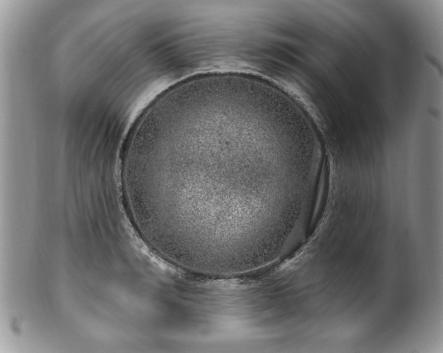 X0000100390990200806130948