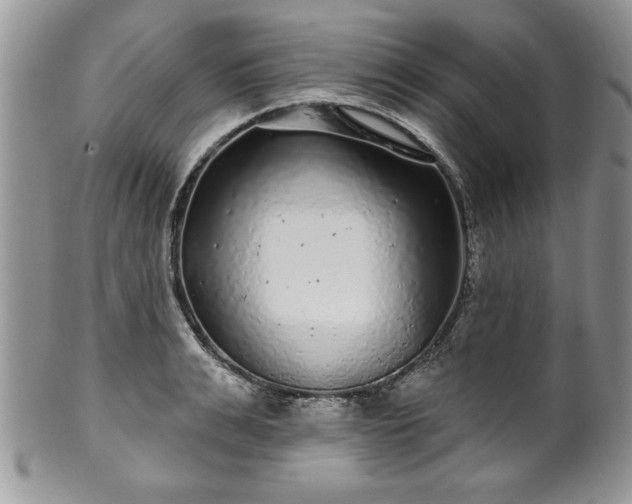 X0000100390991200806130948